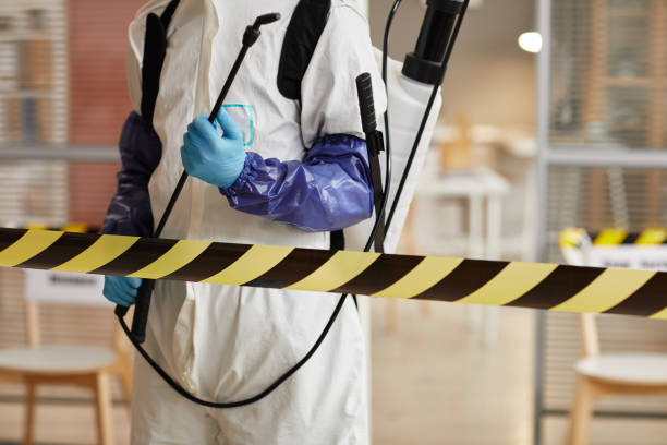 Professional Sewage Cleanup technician working in Colonia, NJ
